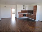 helle und gemütliche 3-Zimmer Wohnung mit Küche in Wels/Neustadt zu vermieten