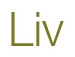 Liv Immobilienvermarktung GmbH