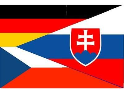 Günstig,schnell-Übersetzungen Tschechisch,Slowakisch,Deutsch