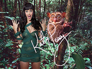 Katy Perry Exotischer Kunstdruck 45x30 cm. Souvenir. Fan-Artikel. Geschenk. Sammlerstück. Wanddekoration. BRANDNEU!