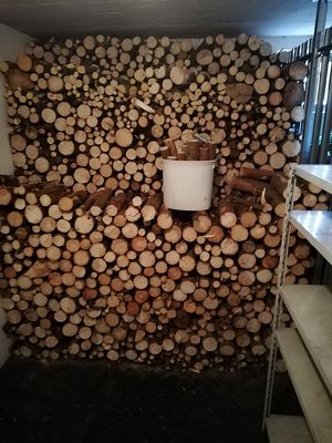trockenes Brennholz Fichtenholz 4m³    30cm bis 50cm lang