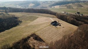 Preissenkung - Slowenien - 8,5 ha Wein, 3,5 ha Wald - Aussichtslage mit Abbruchhaus!