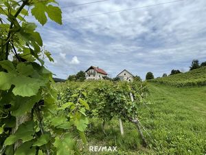 Weingut in Allein- und Aussichtslage - mit Bioweingarten - in SLOWENIEN