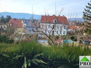 Sonnige ruhige Dachgeschosswohnung mit Kahlenberg-Blick und Gartenanteil auf Leibrente in Langenzersdorf