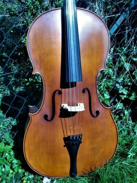 Cello n. "D. Tecchler Romae 1709" m. Bogen & Tasche