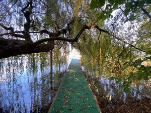 Exklusive SEEVILLA mit direktem Seezugang am Klopeiner See