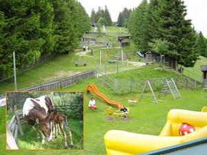 Märchenalm - Urlaub mit Kindern in der Steiermark