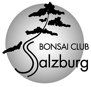 Bonsai Club Salzburg