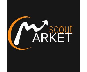 MarketScout - Ziegler & Partner Marketingservice KG