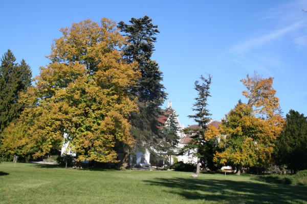 Schlosspark Schönau