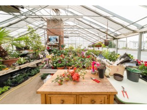 Gärtnerei Autengruber – Blumen, Topfpflanzen, Hochzeitsfloristik, Trauerfloristik