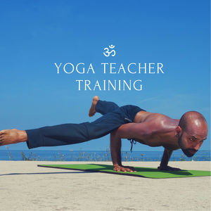 200h Yogalehrer-Ausbildung mit indischem Yogalehrer