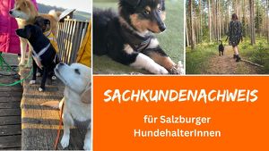 Sachkundenachweis für Salzburger HundehalterInnen